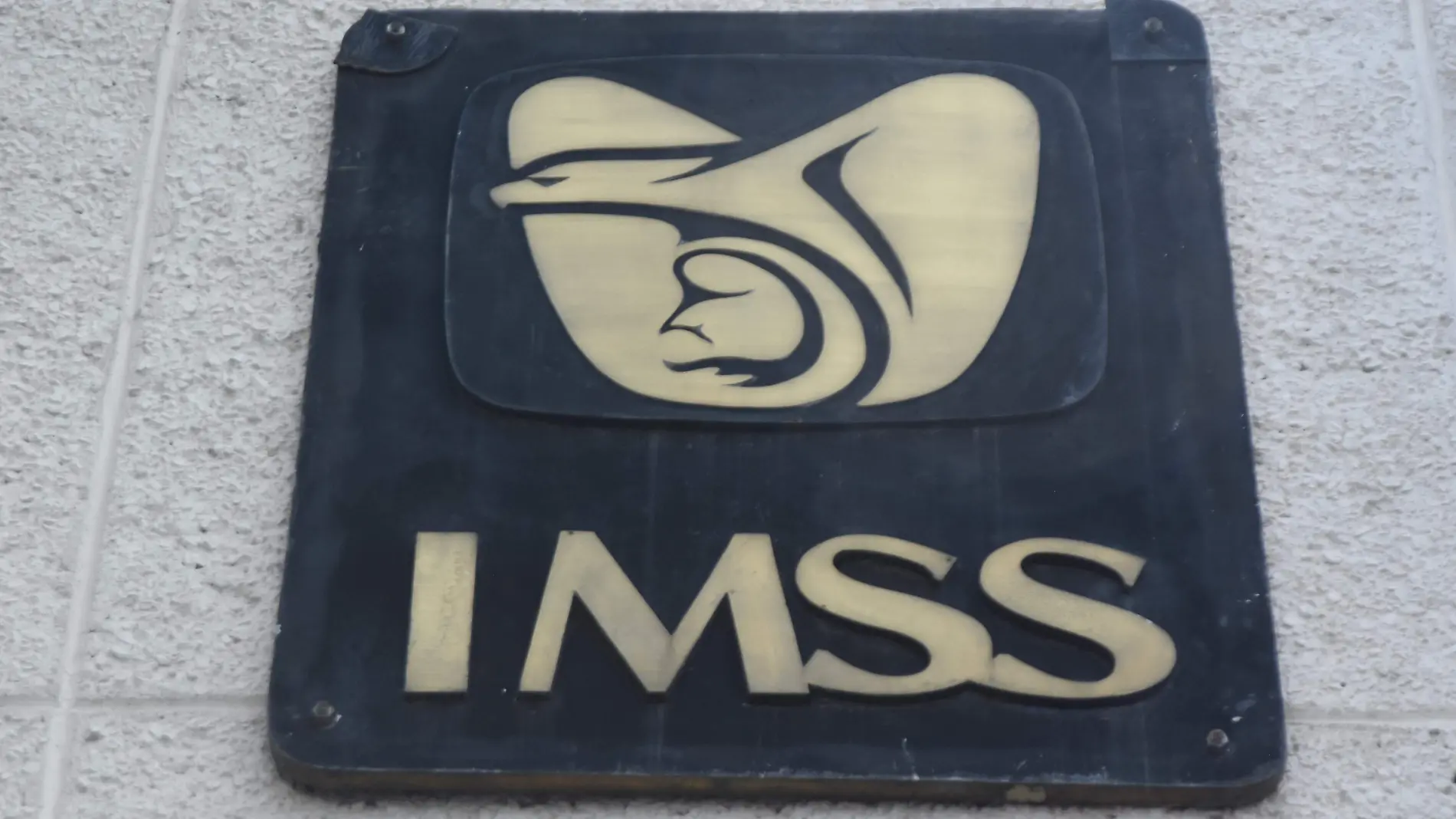 220629_IMSS_MC (10)